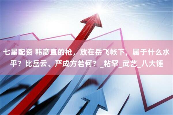 七星配资 韩彦直的枪，放在岳飞帐下，属于什么水平？比岳云、严成方若何？_粘罕_武艺_八大锤