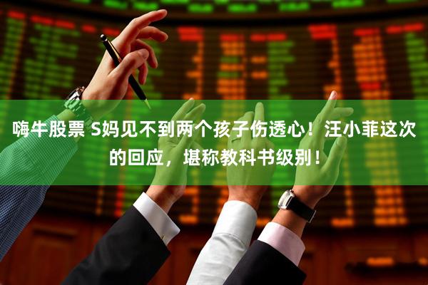 嗨牛股票 S妈见不到两个孩子伤透心！汪小菲这次的回应，堪称教科书级别！