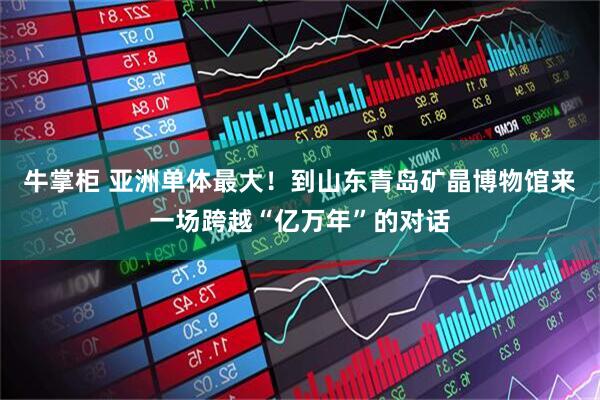 牛掌柜 亚洲单体最大！到山东青岛矿晶博物馆来一场跨越“亿万年”的对话