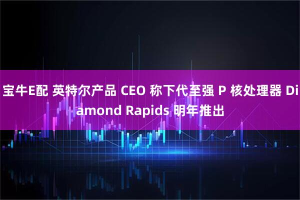 宝牛E配 英特尔产品 CEO 称下代至强 P 核处理器 Diamond Rapids 明年推出