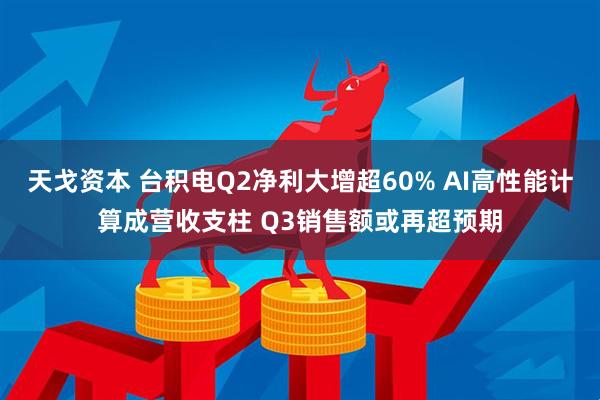 天戈资本 台积电Q2净利大增超60% AI高性能计算成营收支柱 Q3销售额或再超预期