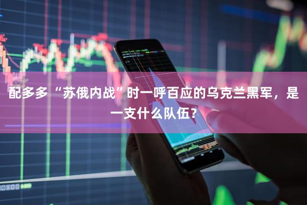 配多多 “苏俄内战”时一呼百应的乌克兰黑军，是一支什么队伍？
