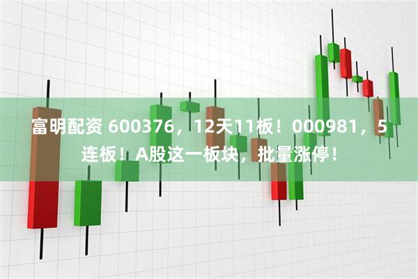 富明配资 600376，12天11板！000981，5连板！A股这一板块，批量涨停！
