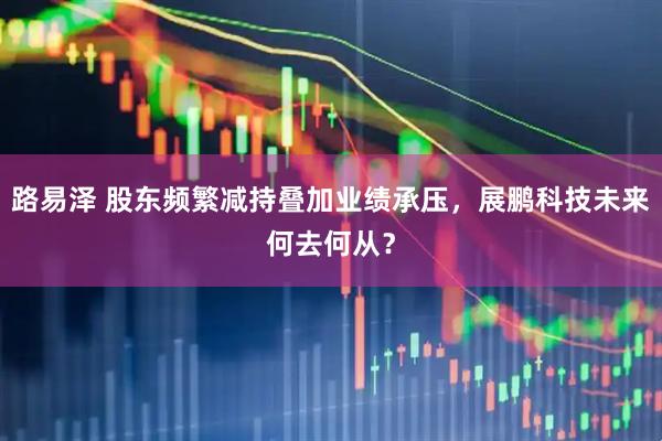 路易泽 股东频繁减持叠加业绩承压，展鹏科技未来何去何从？