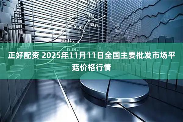 正好配资 2025年11月11日全国主要批发市场平菇价格行情