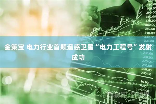 金策宝 电力行业首颗遥感卫星“电力工程号”发射成功